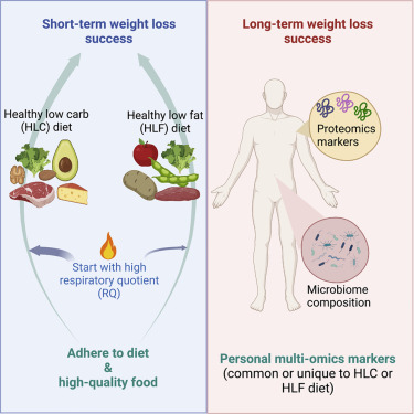 Calorie-Reduced Diet - to Expectable Results